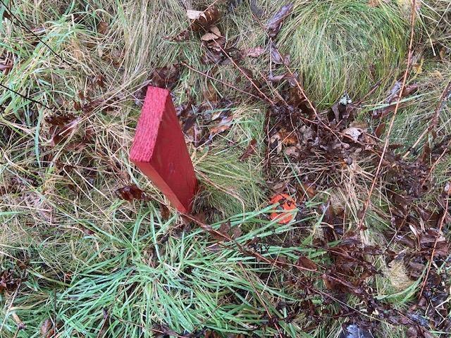 Lot N-1 Port Latour Road, Reynoldscroft, NS