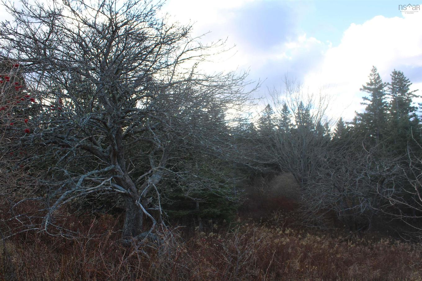 9230 St Croix Cove Road, St. Croix, NS