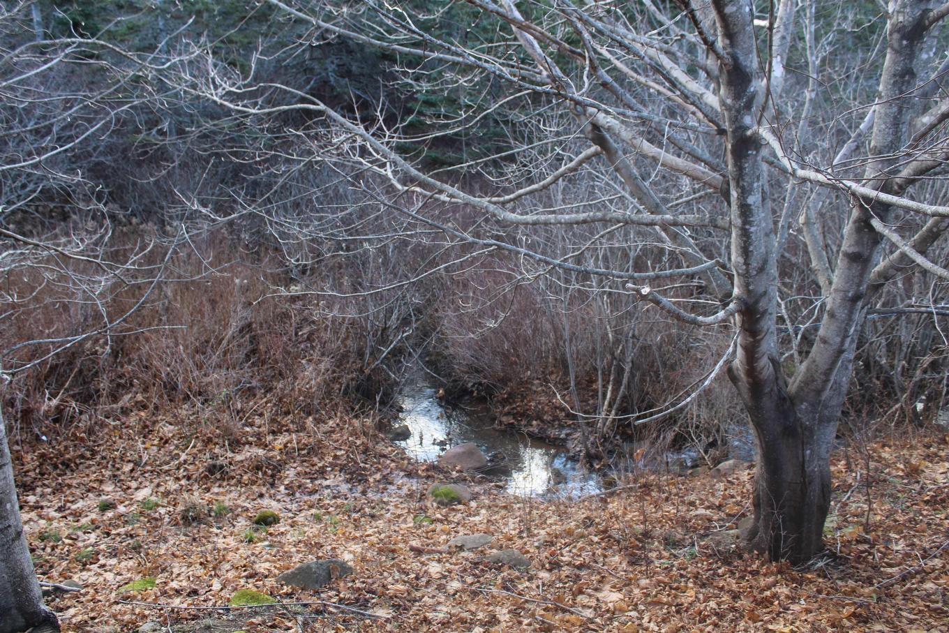 9230 St Croix Cove Road, St. Croix, NS