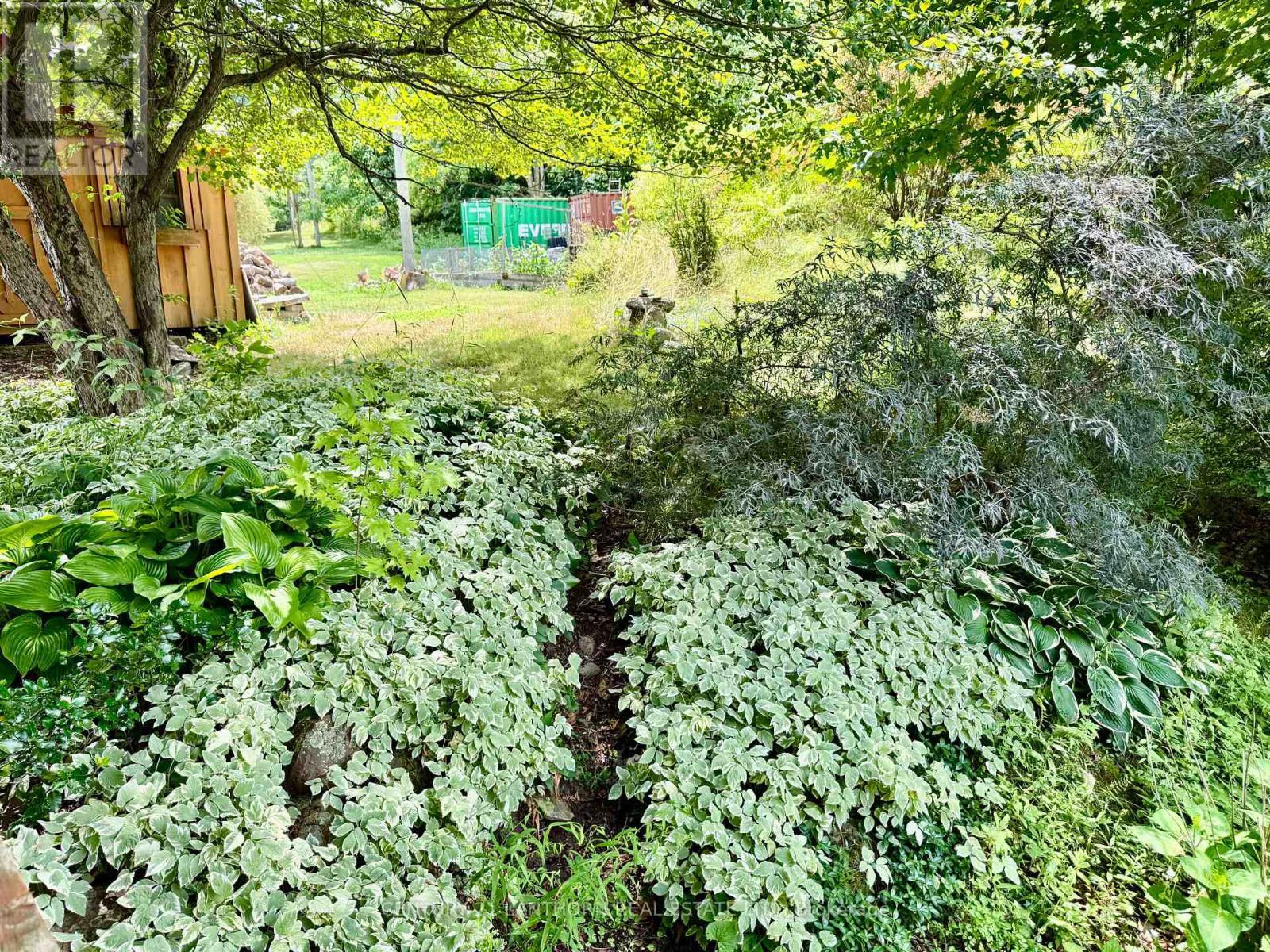 177 Camp Lane, Tweed (Hungerford (Twp)), ON - Outdoor