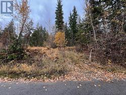 Lot 150 Anglemont Drive Lot# 150 Anglemont, BC V0E 1M8