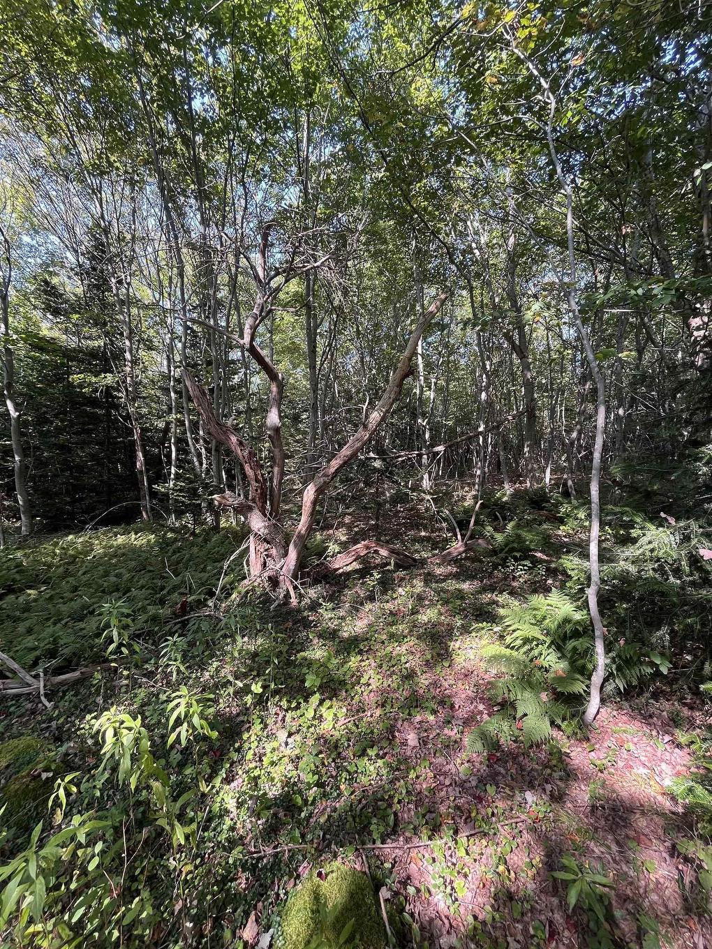 Lot 340 Highway, Hassett, NS