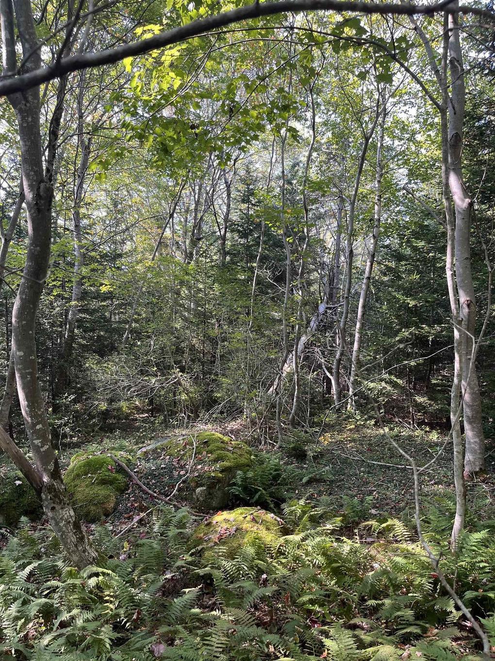 Lot 340 Highway, Hassett, NS