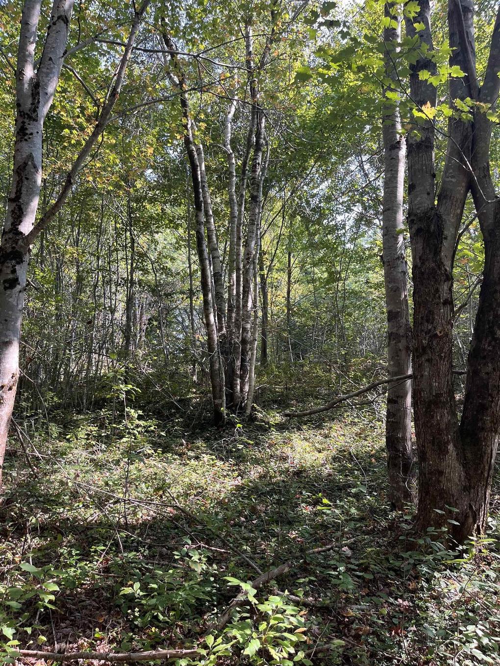 Lot 340 Highway, Hassett, NS