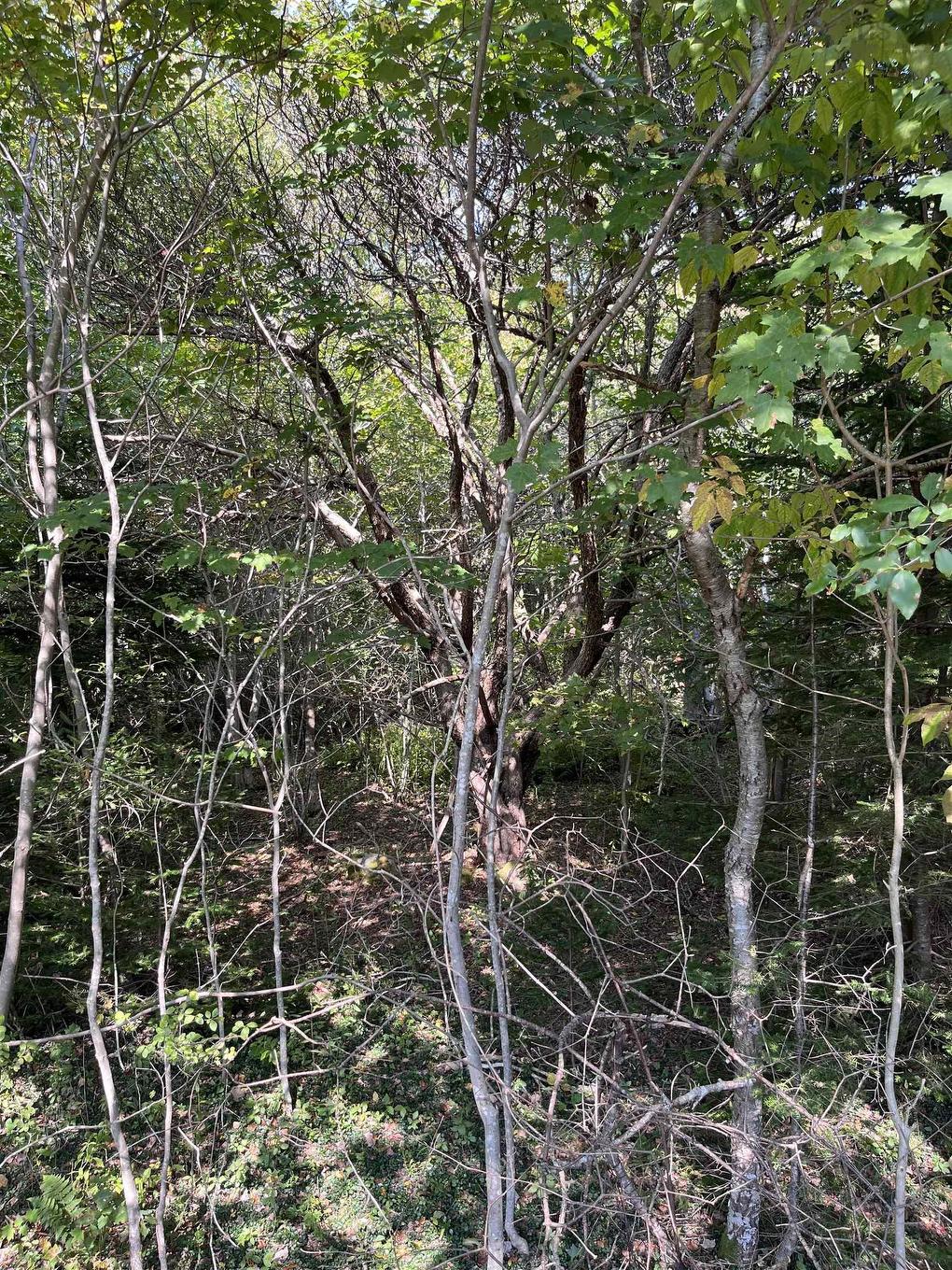 Lot 340 Highway, Hassett, NS