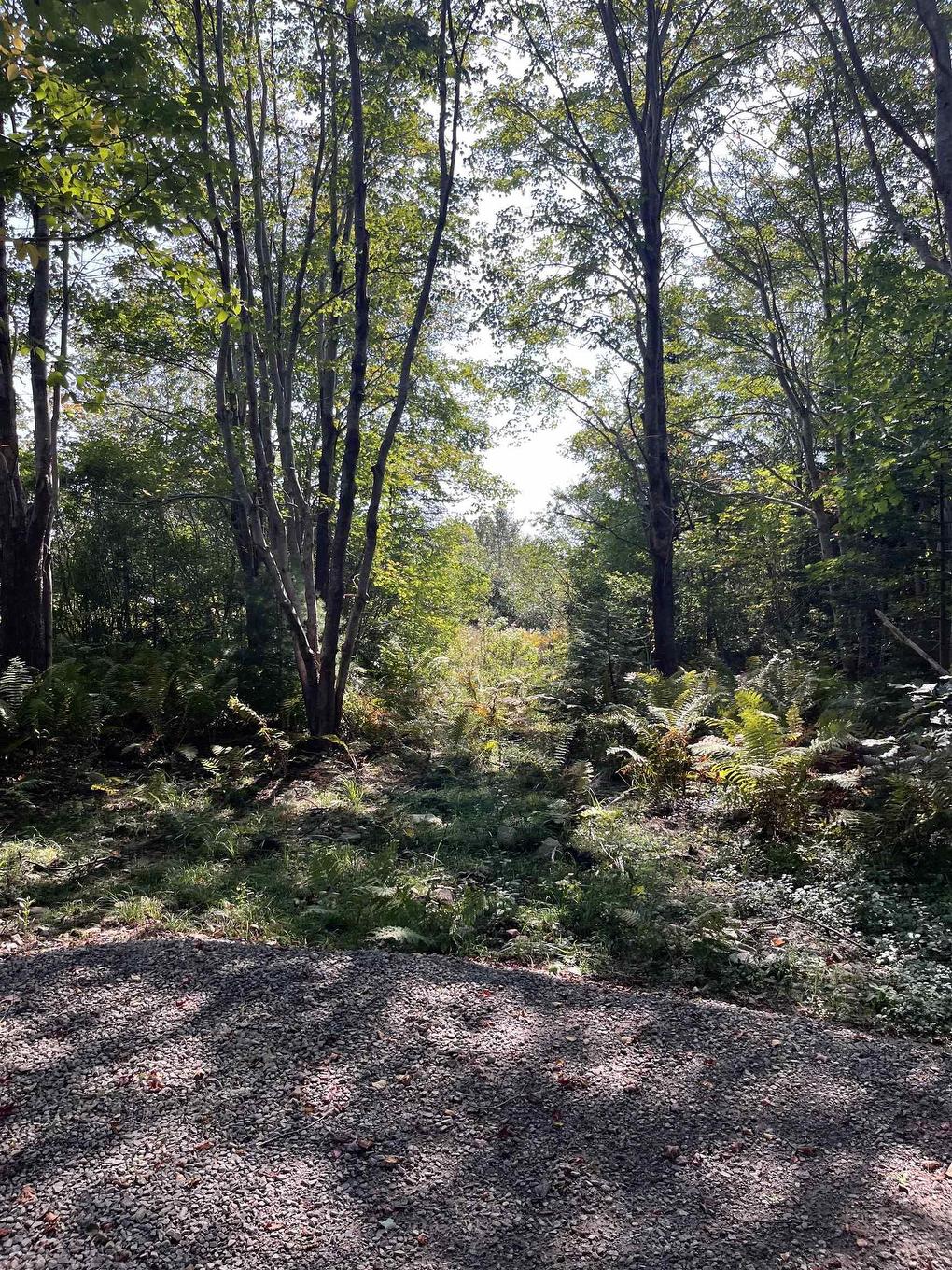 Lot 340 Highway, Hassett, NS