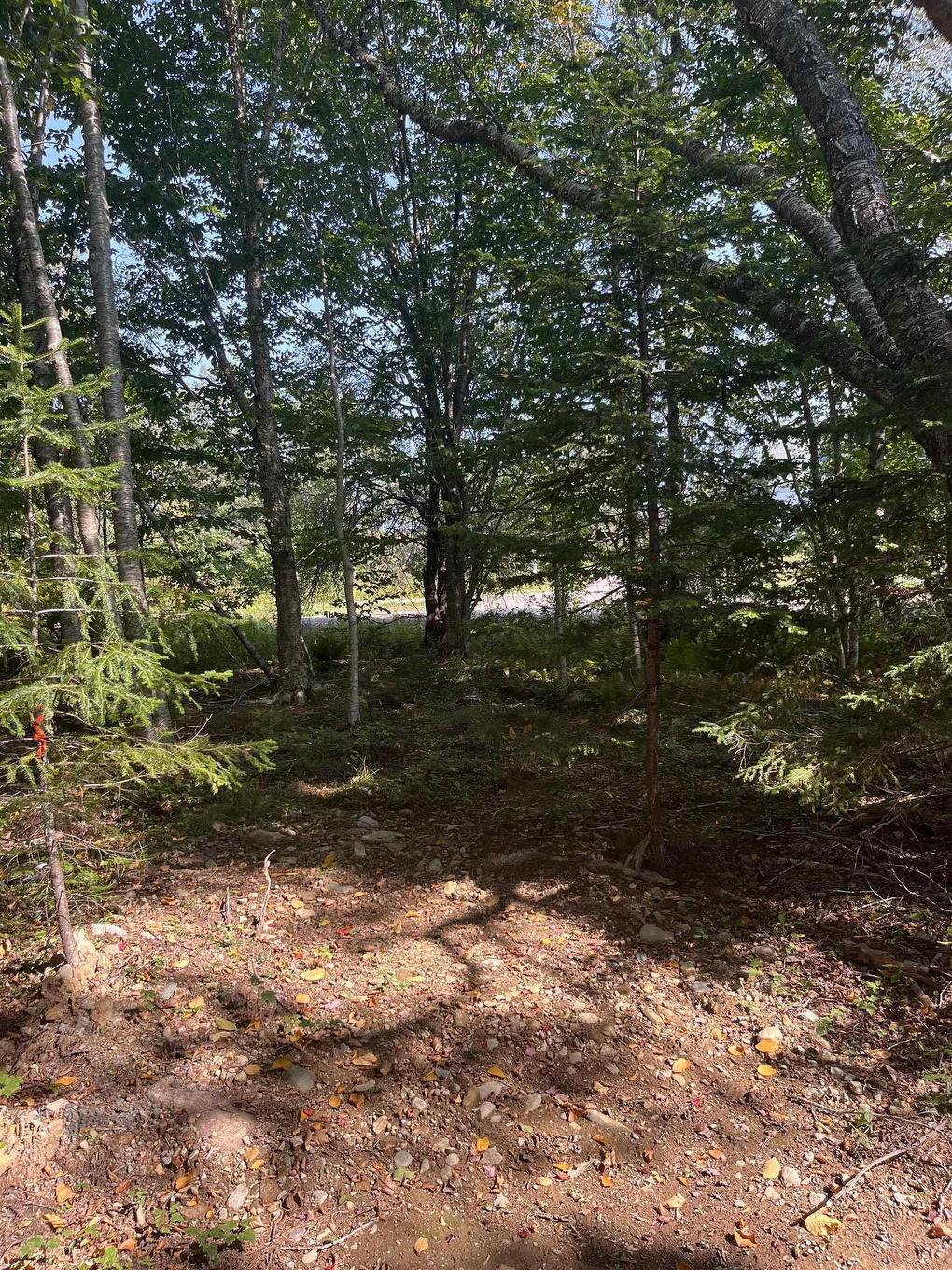 Lot 340 Highway, Hassett, NS