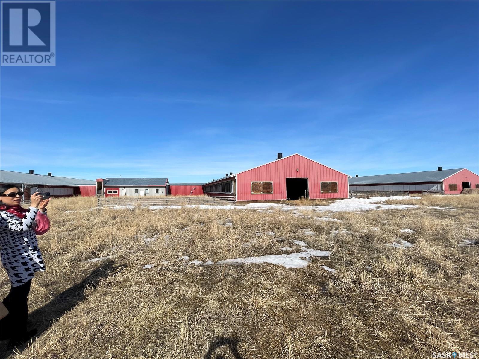 Pig-Barn, Excelsior Rm No. 166, SK