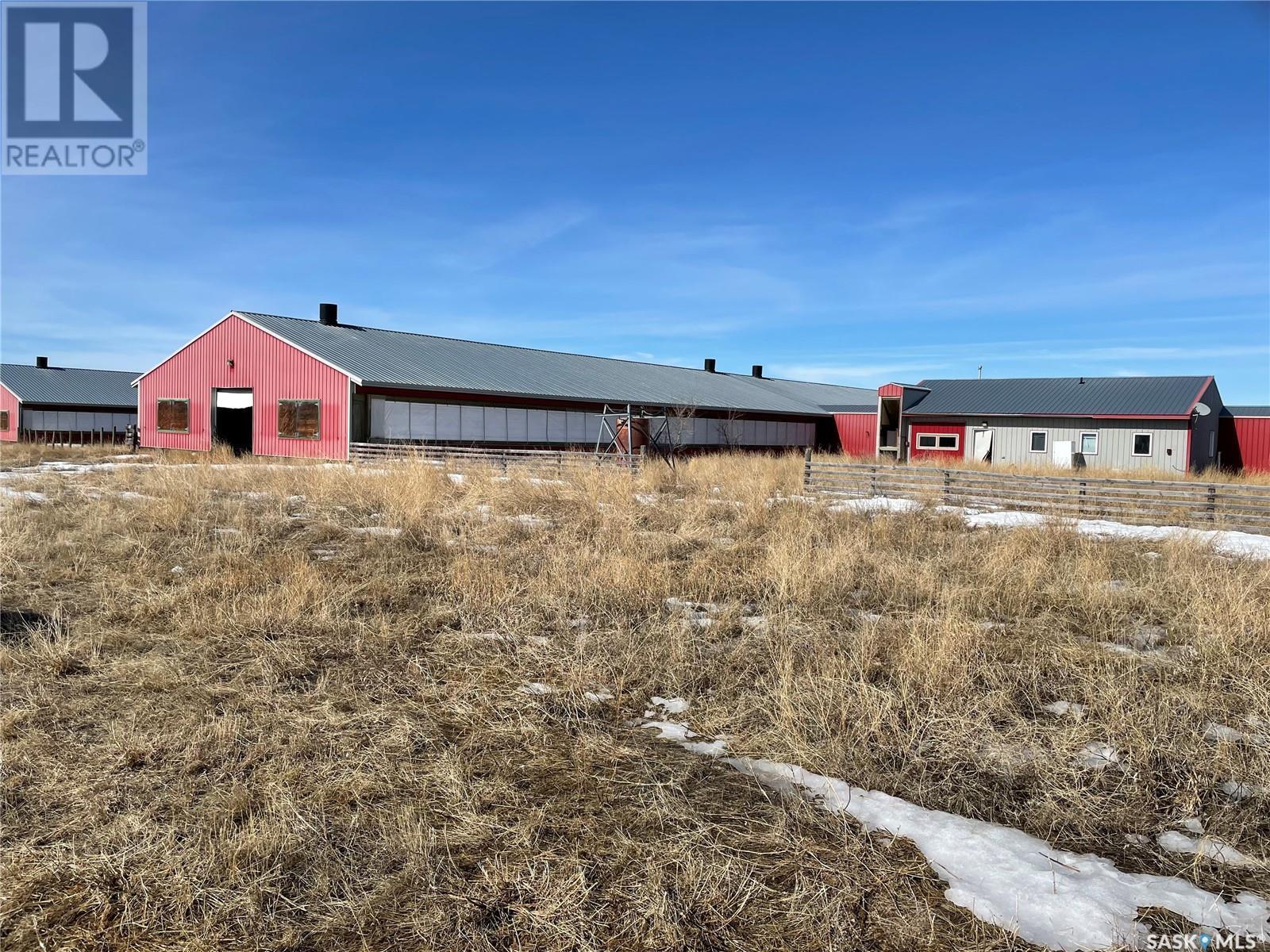 Pig-Barn, Excelsior Rm No. 166, SK