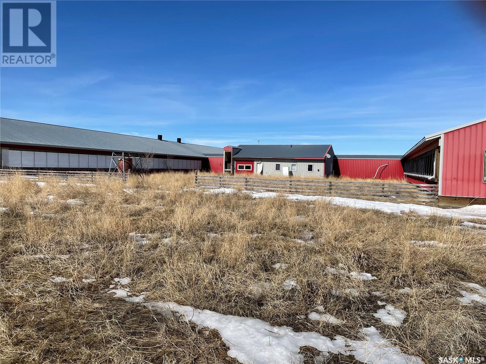 Pig-Barn, Excelsior Rm No. 166, SK