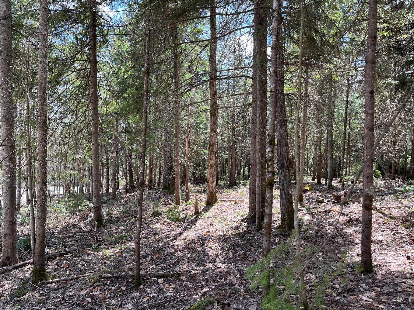 Land/Lot - 7E Rang, Val-David, QC