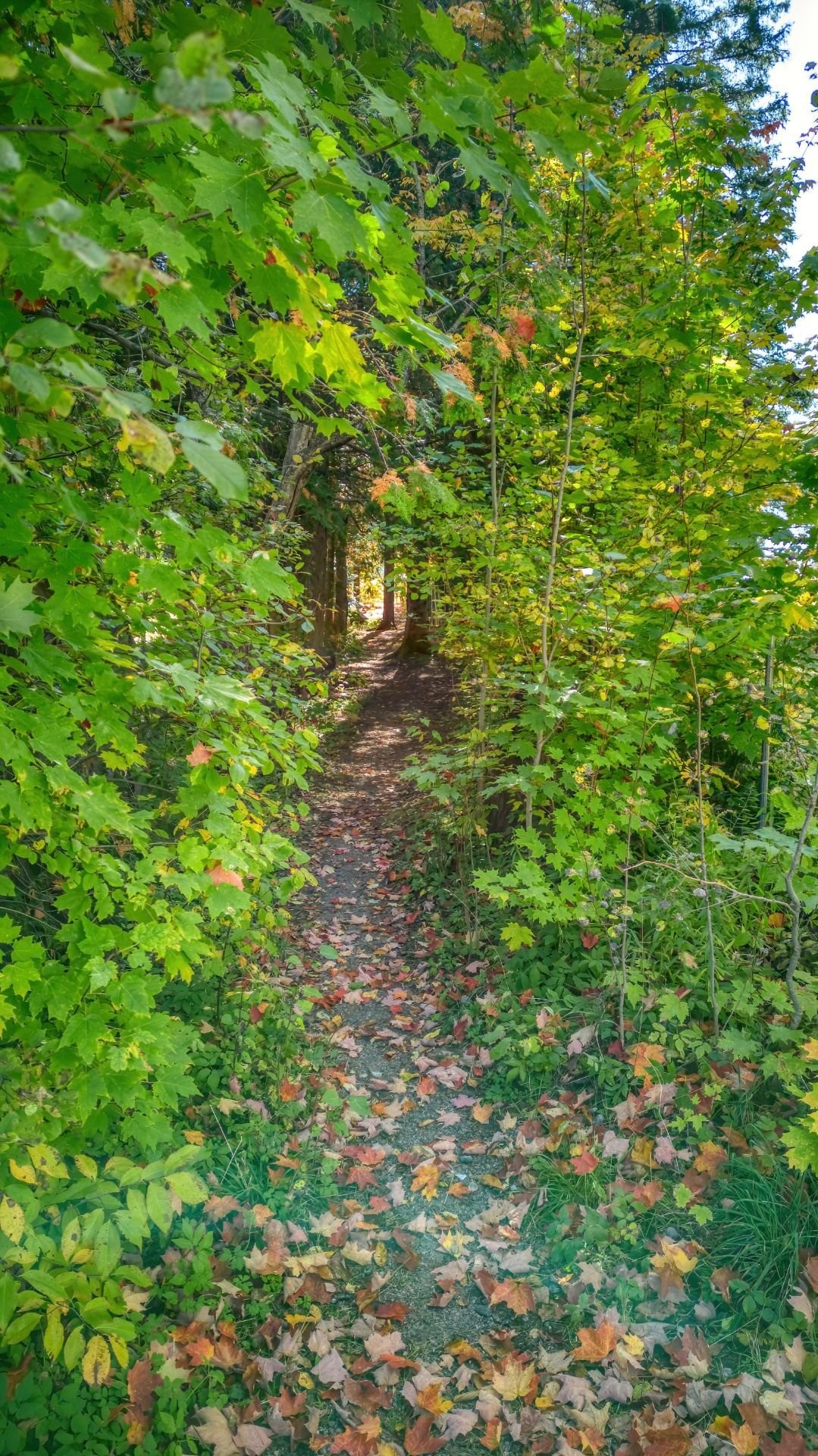 Accès au plan d'eau - 7E Rang, Val-David, QC