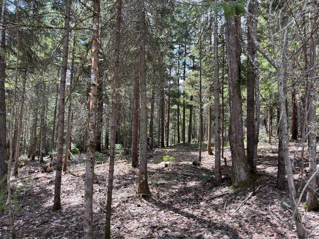 Overall view - 7E Rang, Val-David, QC