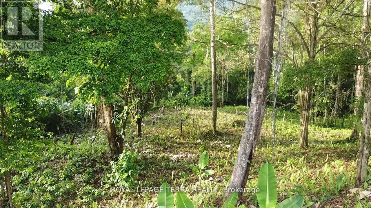 2 Avenida Principle, Costa Rica, ON