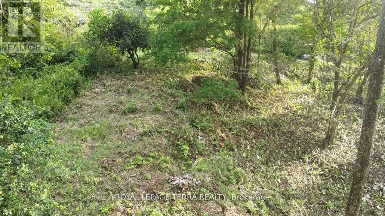 2 Avenida Principle, Costa Rica, ON