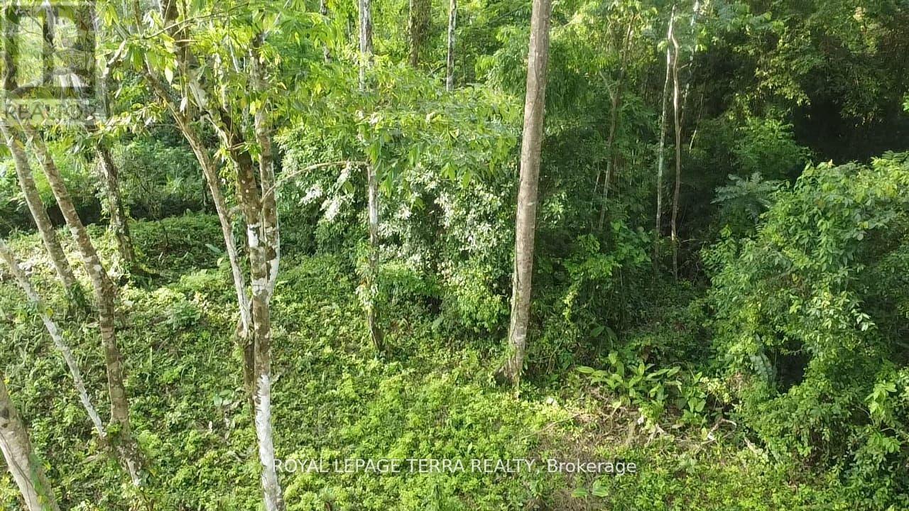 2 Avenida Principle, Costa Rica, ON