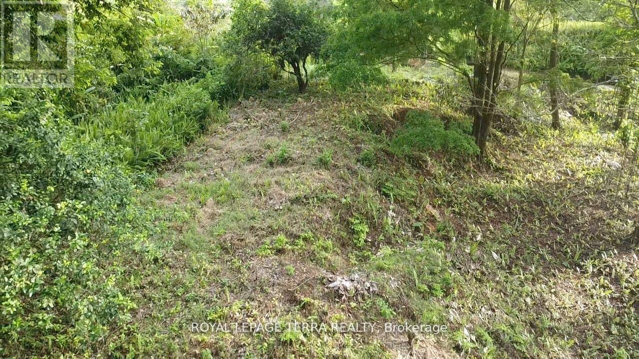 2 Avenida Principle, Costa Rica, ON