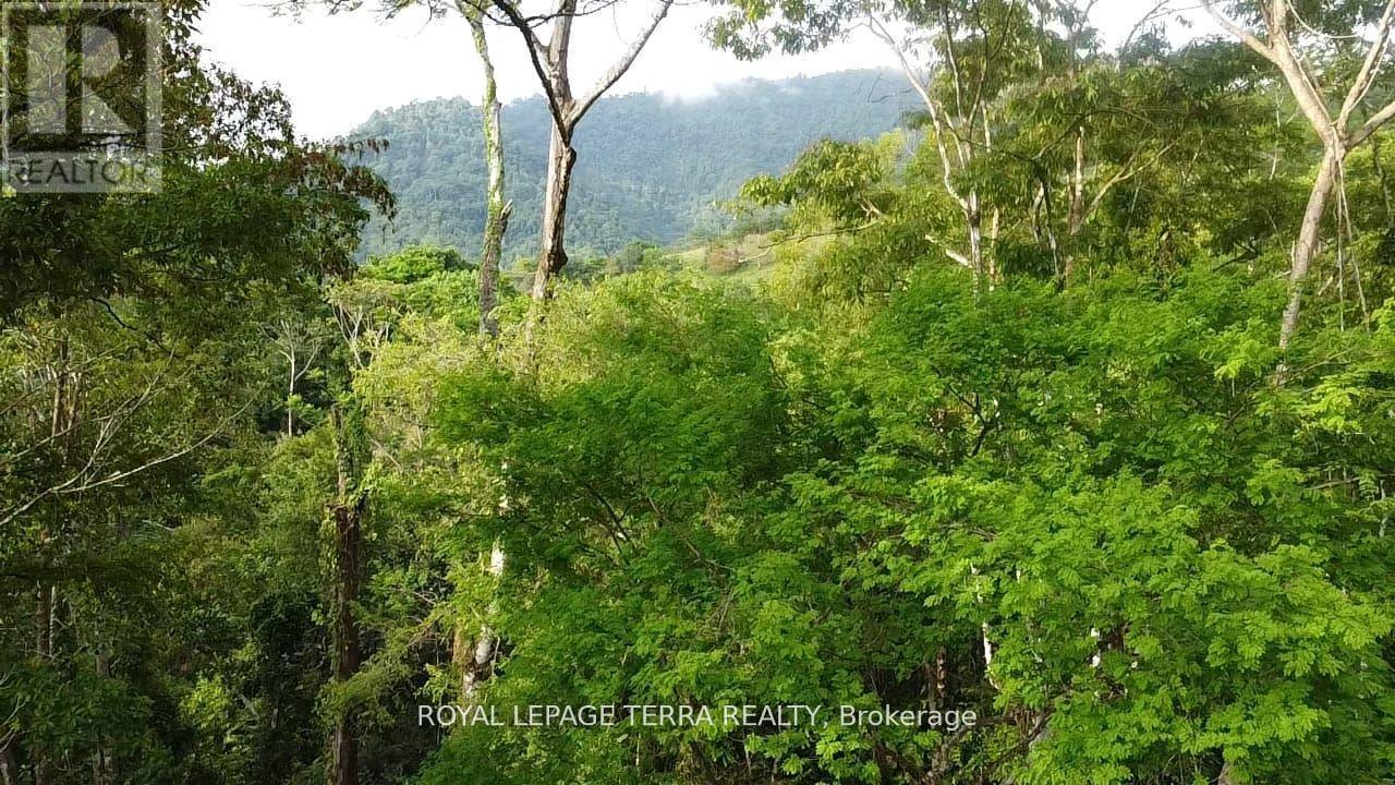 2 Avenida Principle, Costa Rica, ON