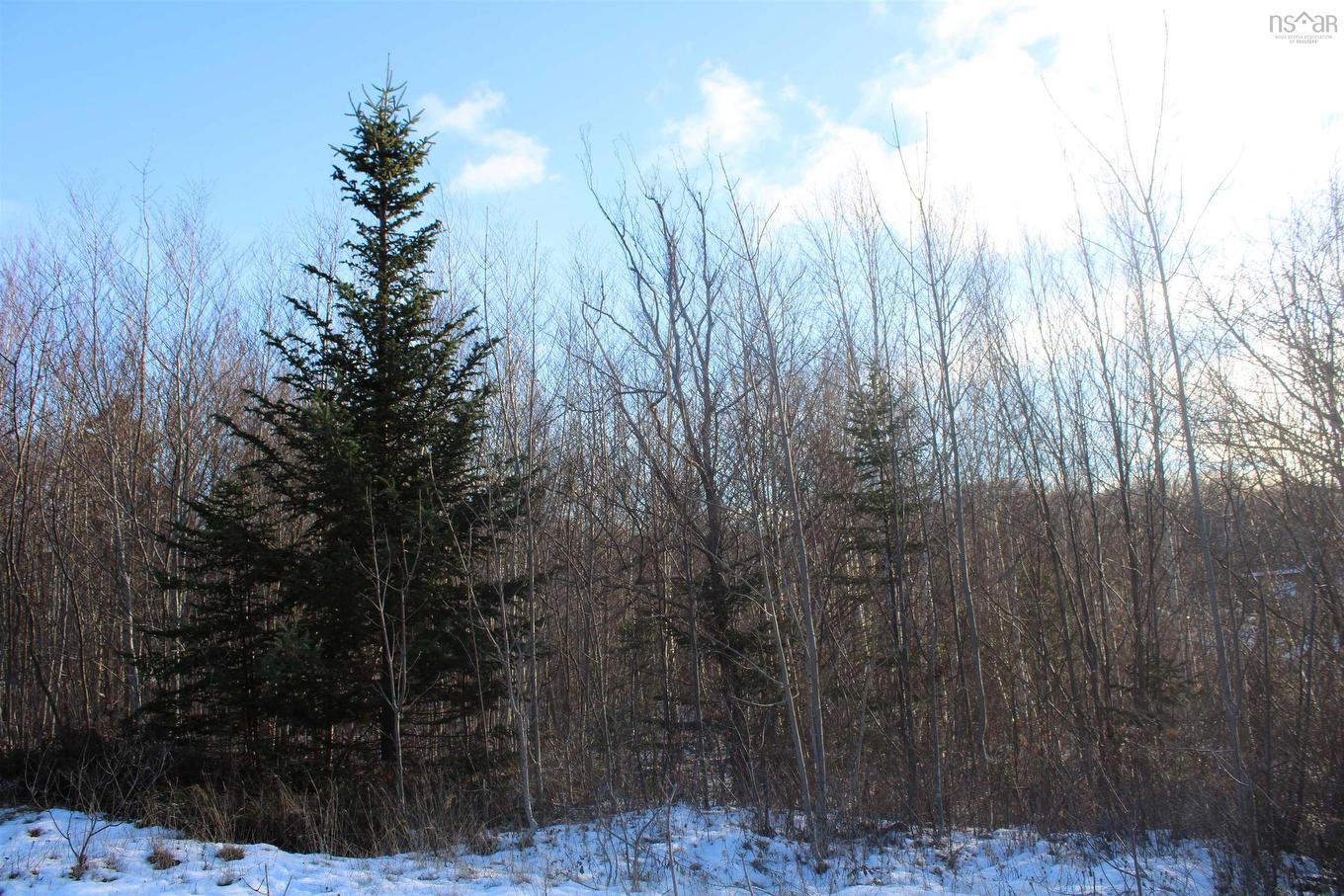 Lot Parker Mountain Road, Parkers Cove, NS