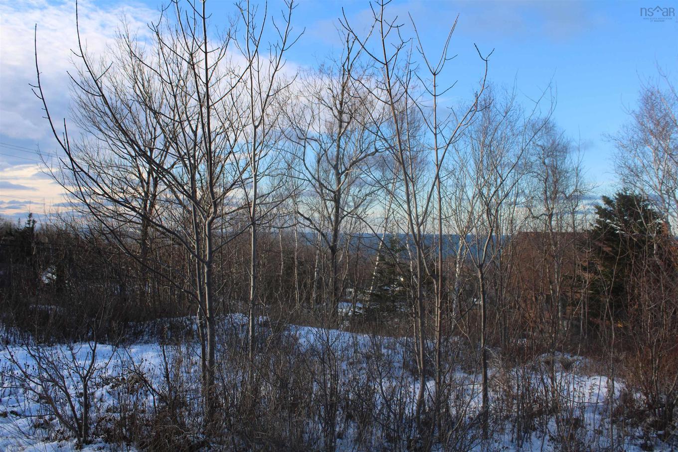 Lot Parker Mountain Road, Parkers Cove, NS