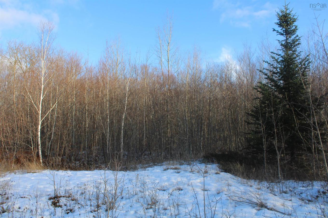 Lot Parker Mountain Road, Parkers Cove, NS