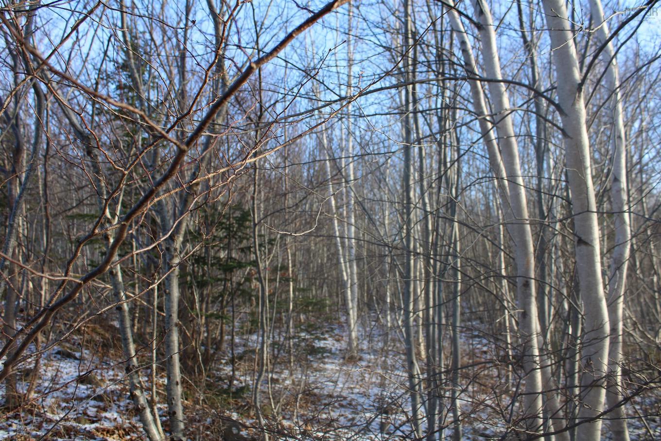 Lot Parker Mountain Road, Parkers Cove, NS