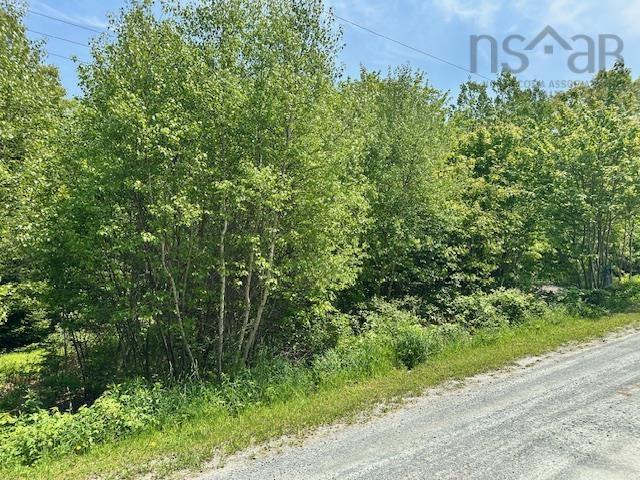 Lot Pid#70088083 North Street, Brooklyn, NS