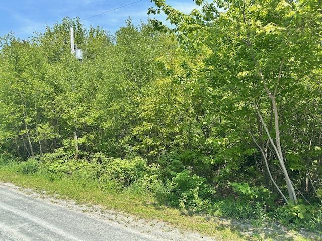 Lot Pid#70088083 North Street, Brooklyn, NS