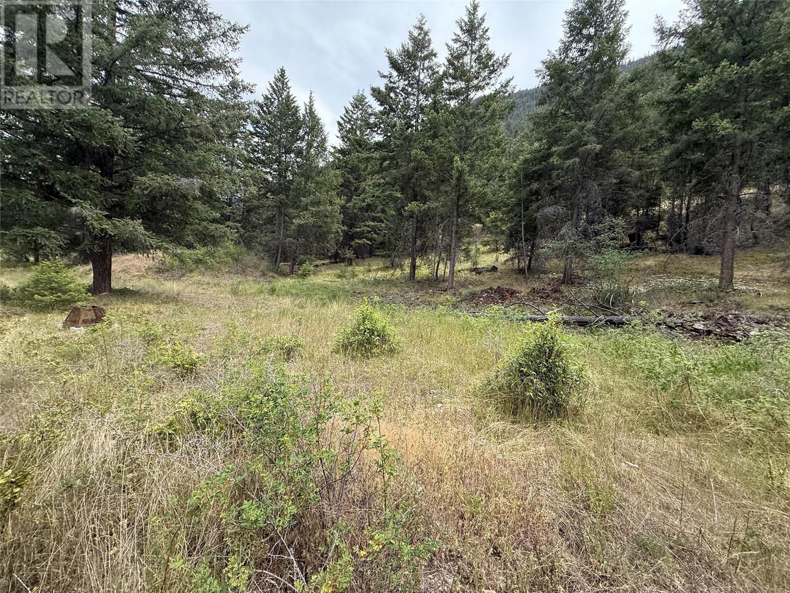 938S Hwy 3 Unit# Dl, Princeton, BC