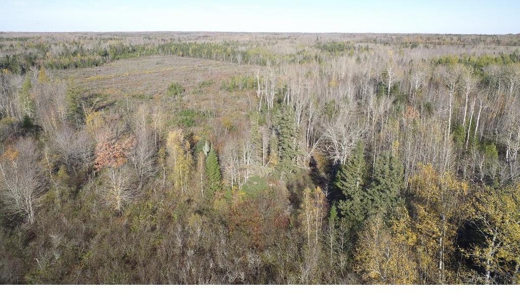 Centerline Road, St. Lawrence, PE