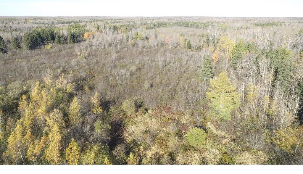 Centerline Road, St. Lawrence, PE