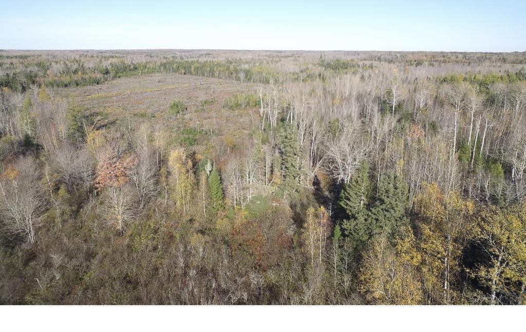 Centerline Road, St. Lawrence, PE