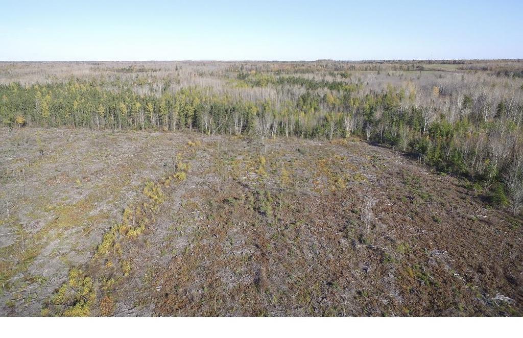 Centerline Road, St. Lawrence, PE