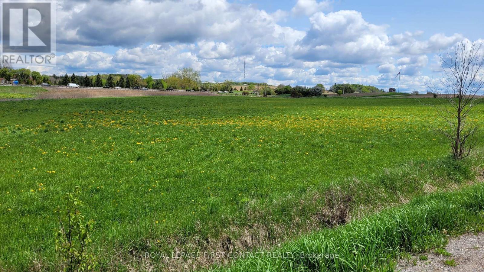 3568 4 Line, Bradford West Gwillimbury, ON