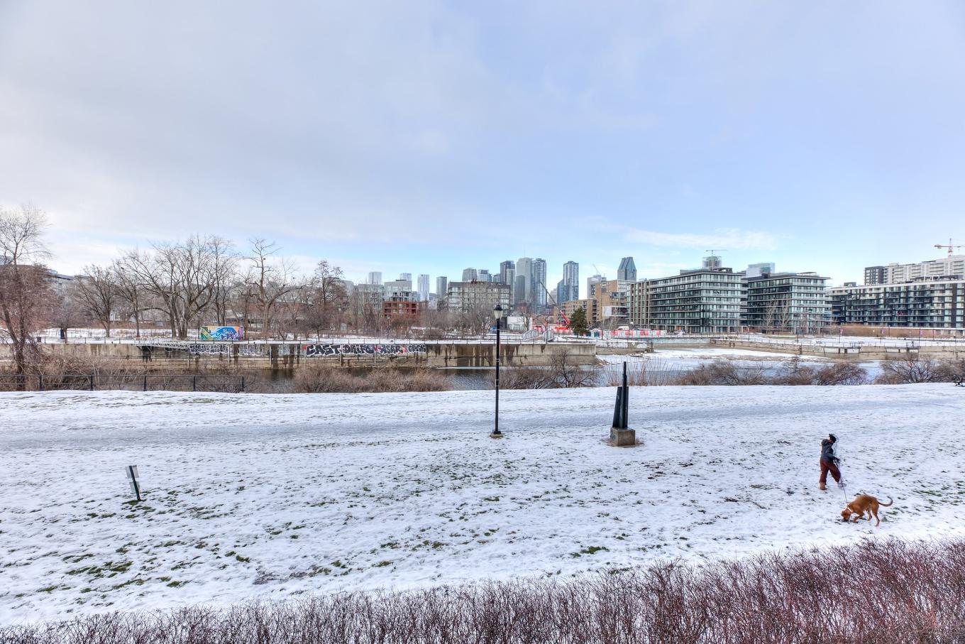 View - 1707 Rue St-Patrick, Montréal (Le Sud-Ouest), QC - Outdoor With View