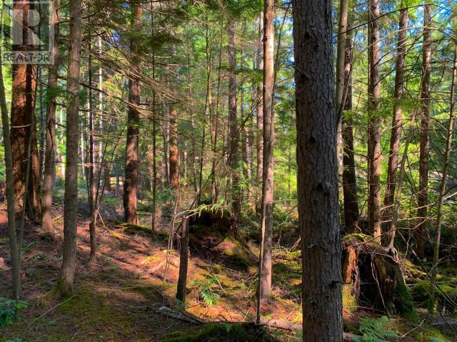 1855 Vancouver Blvd, Savary Island, BC