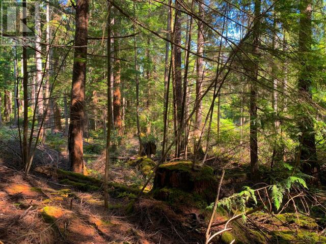 1855 Vancouver Blvd, Savary Island, BC