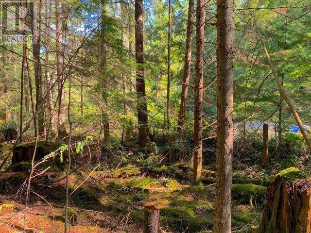 1855 Vancouver Blvd, Savary Island, BC