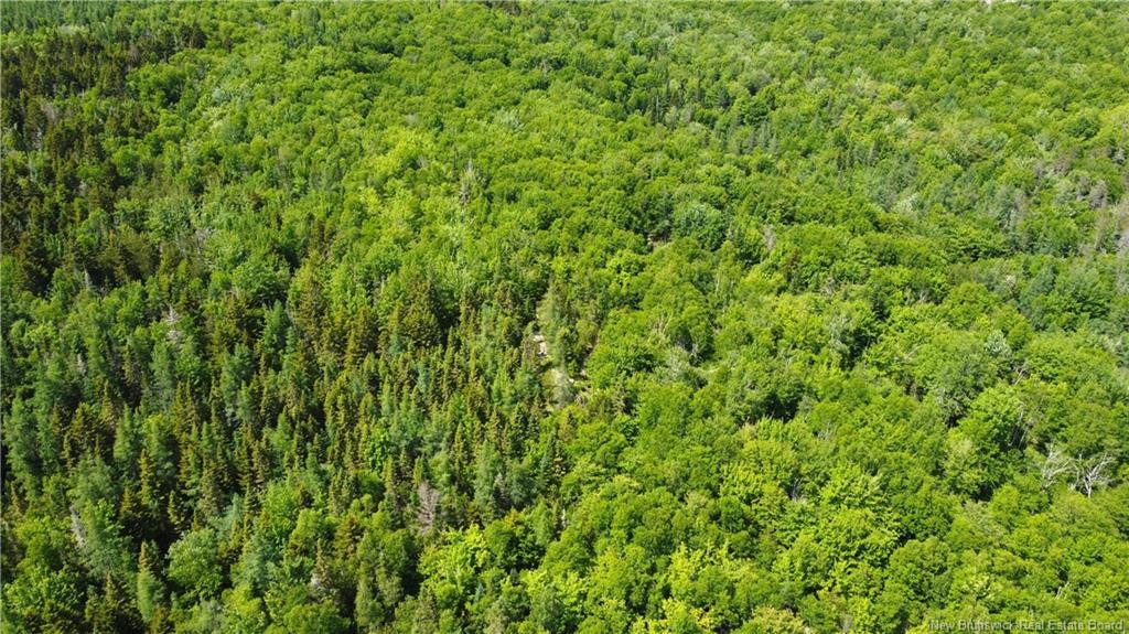 000 Route 127, Bocabec, NB