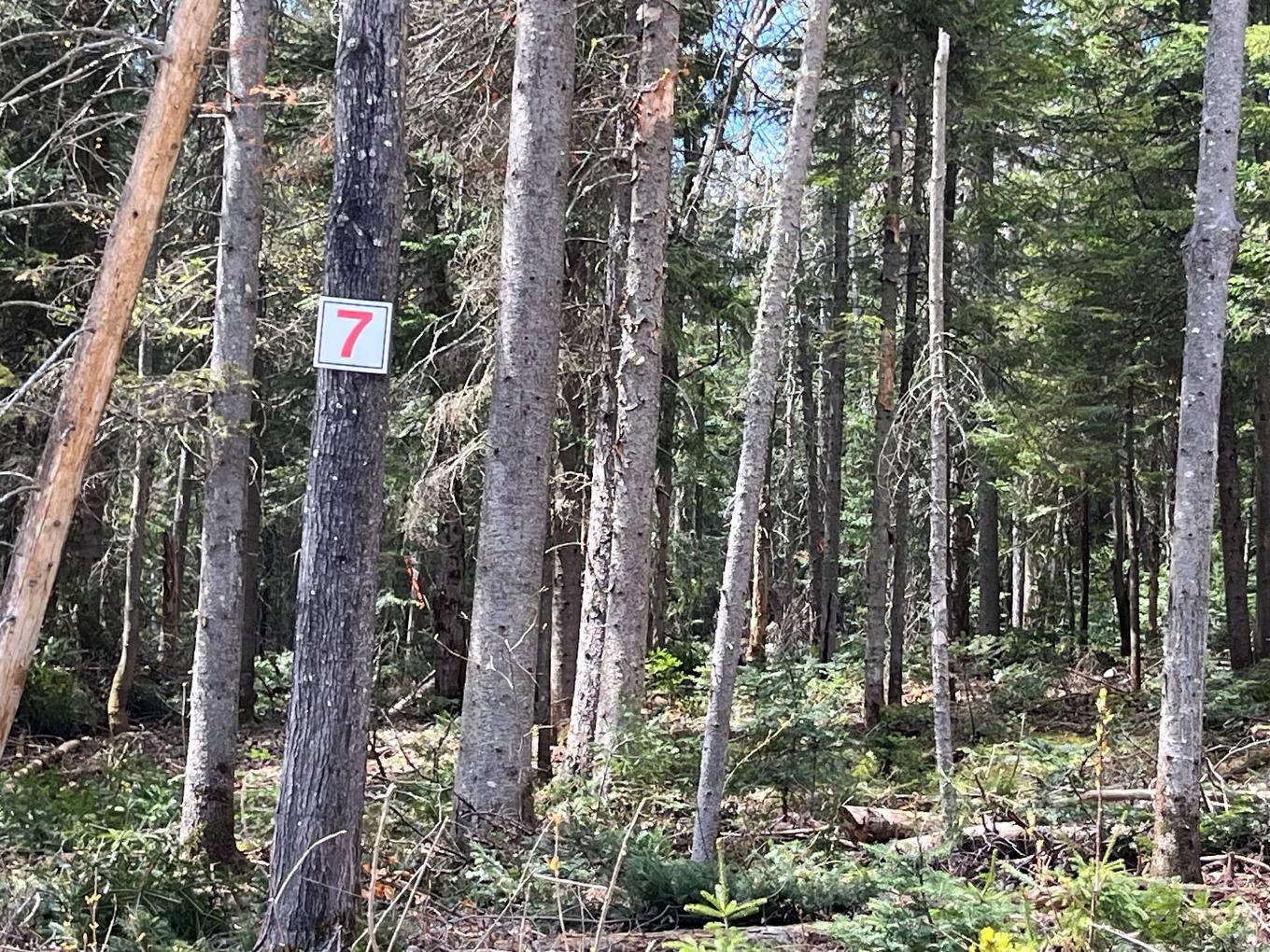 Land/Lot - 7E Rang, Val-David, QC