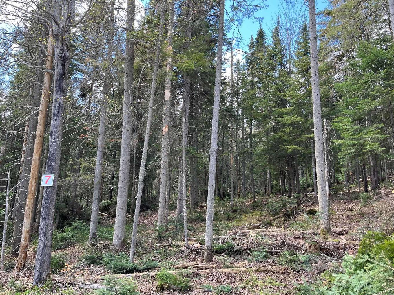 Land/Lot - 7E Rang, Val-David, QC