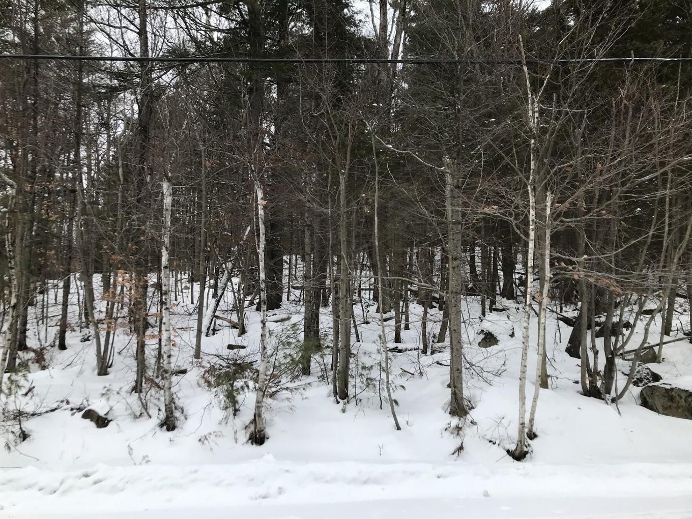 Autre - Ch. Des Pensées, Sainte-Anne-Des-Lacs, QC