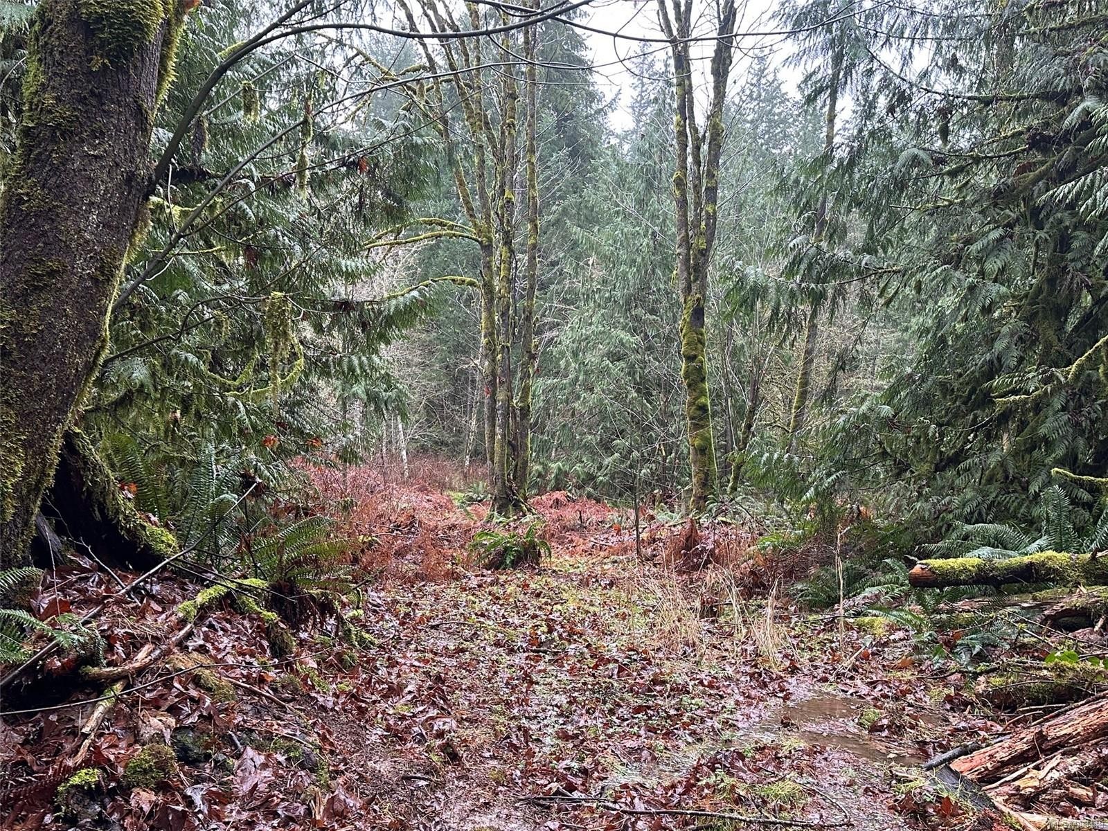 Lot B Thain Rd, Cobble Hill, BC