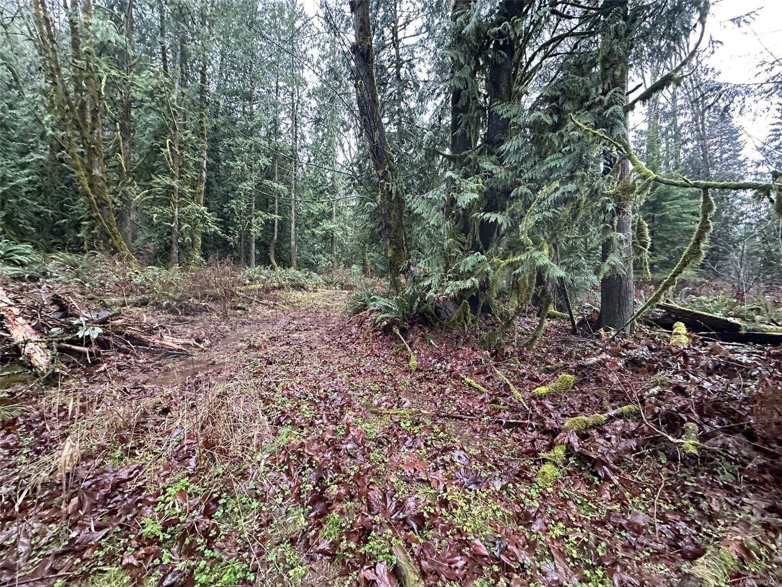 Lot B Thain Rd, Cobble Hill, BC