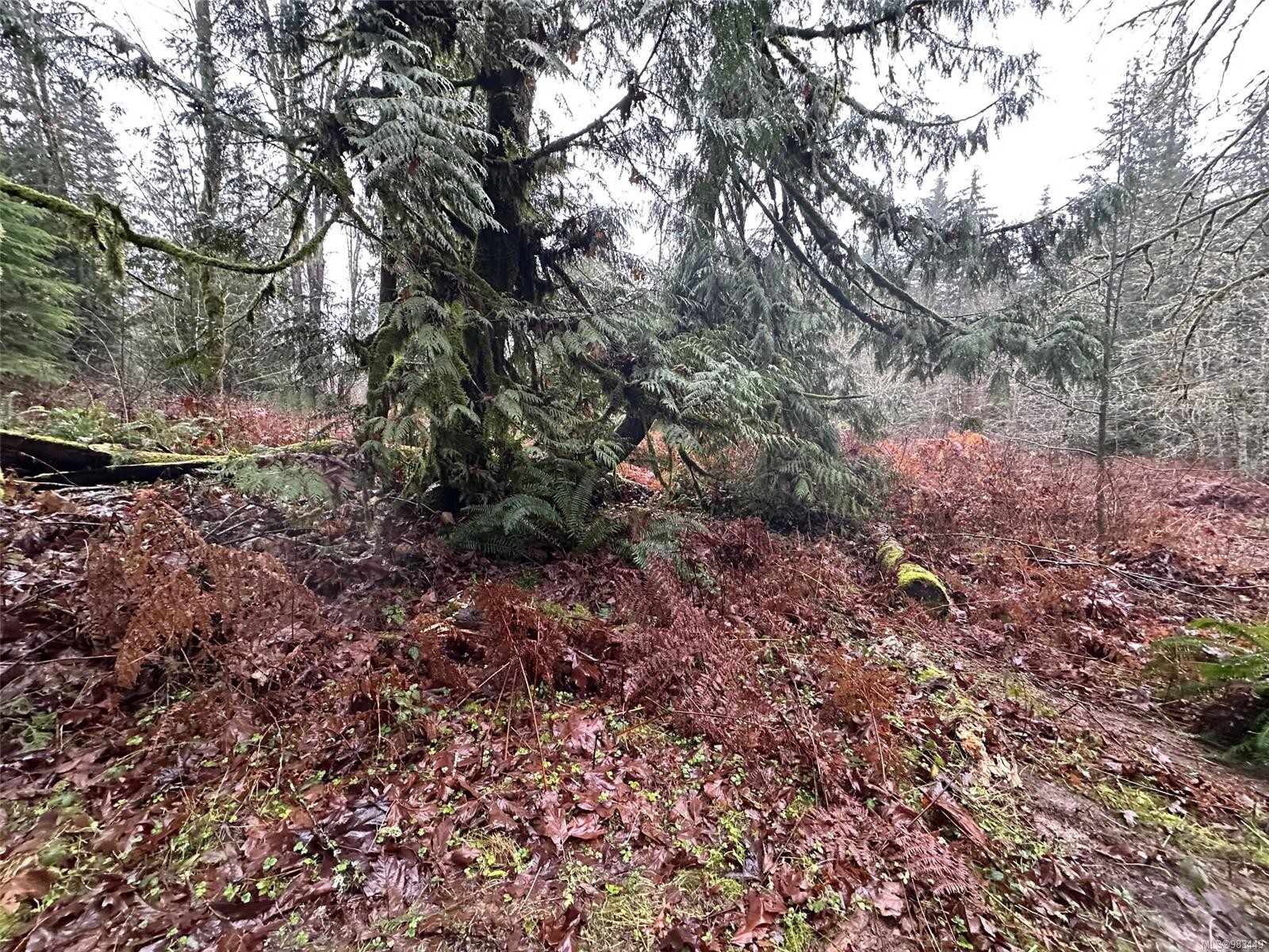 Lot B Thain Rd, Cobble Hill, BC