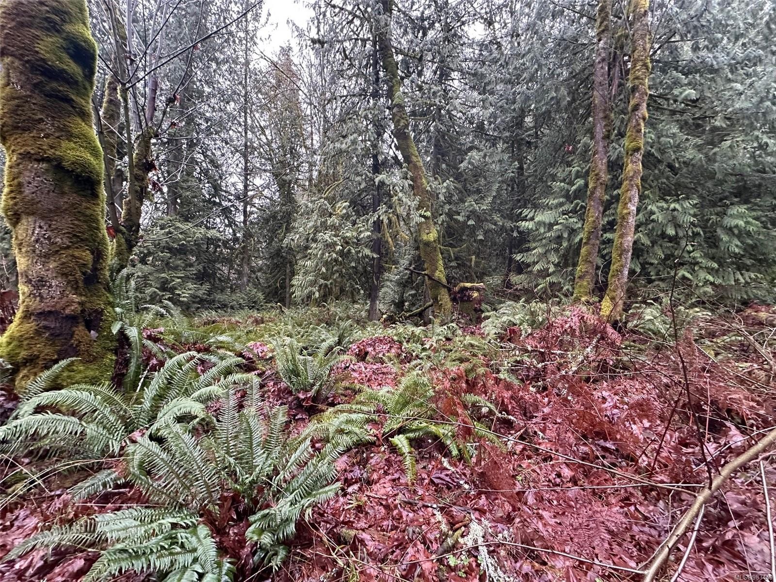 Lot B Thain Rd, Cobble Hill, BC