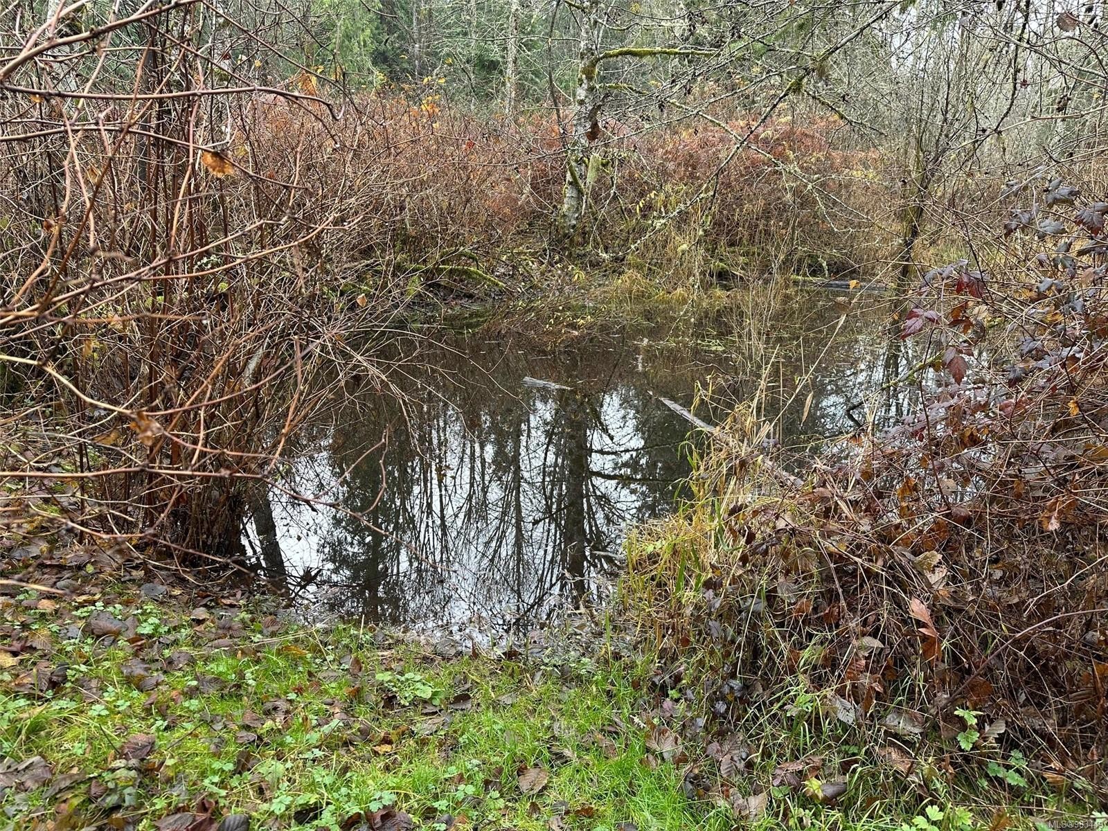 Lot B Thain Rd, Cobble Hill, BC