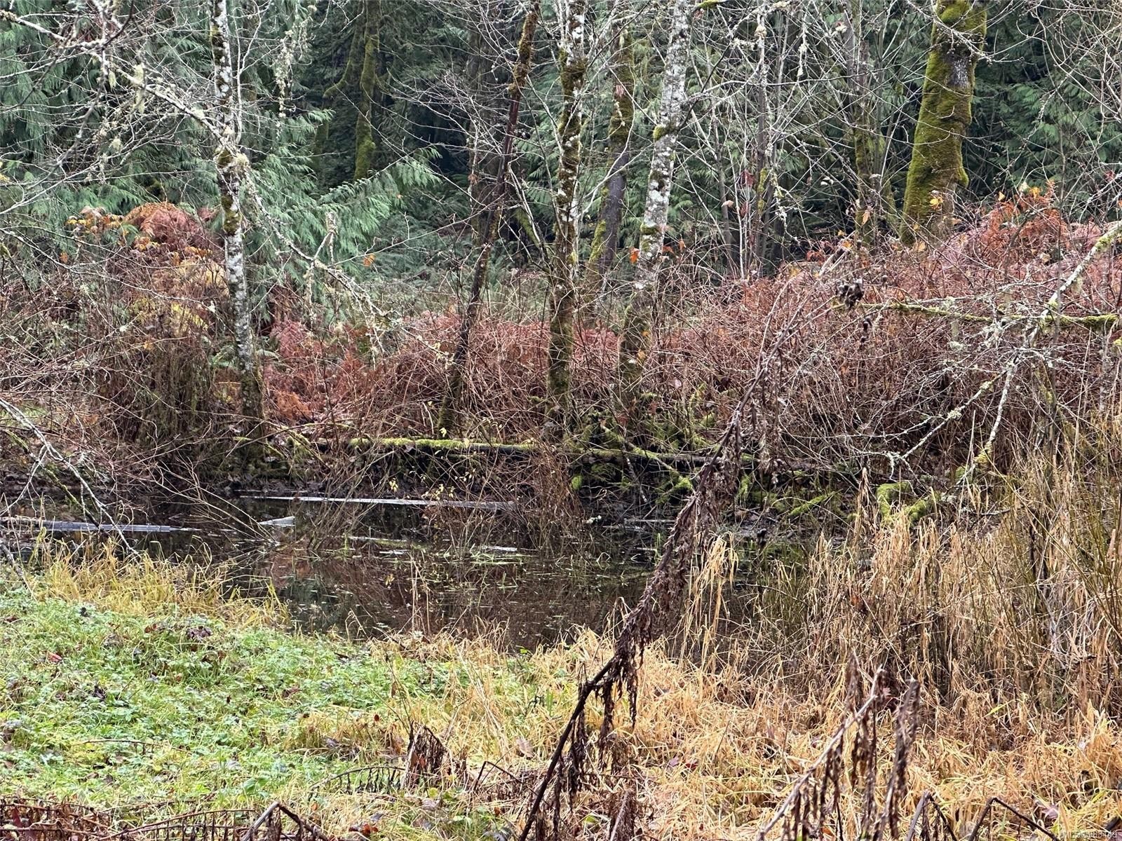 Lot B Thain Rd, Cobble Hill, BC