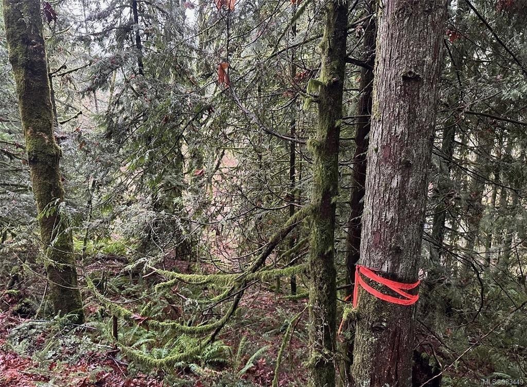 Lot B Thain Rd, Cobble Hill, BC