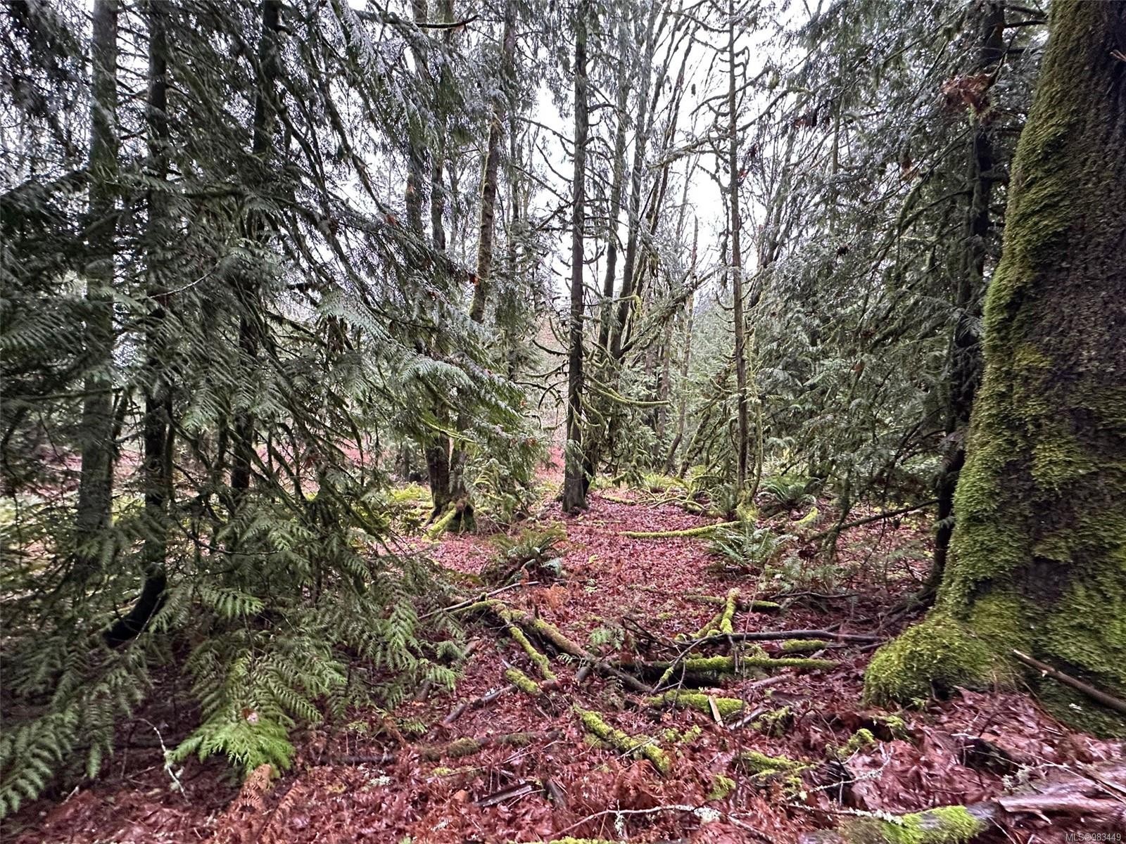 Lot B Thain Rd, Cobble Hill, BC